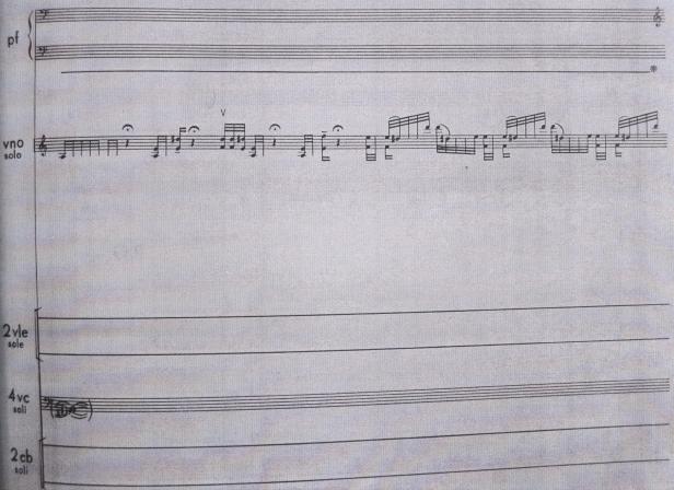 imagen nº 22d, Chain II, pp 59-63