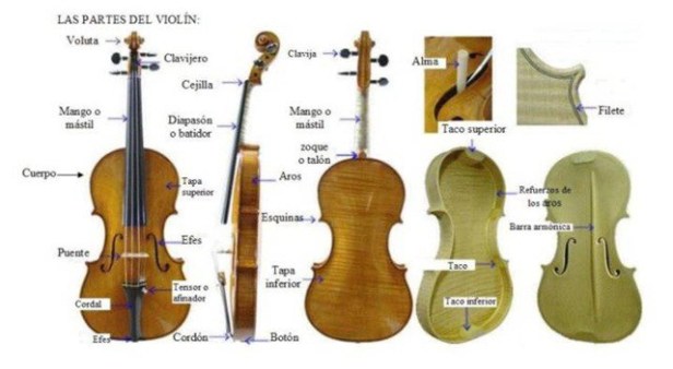 partesviolin